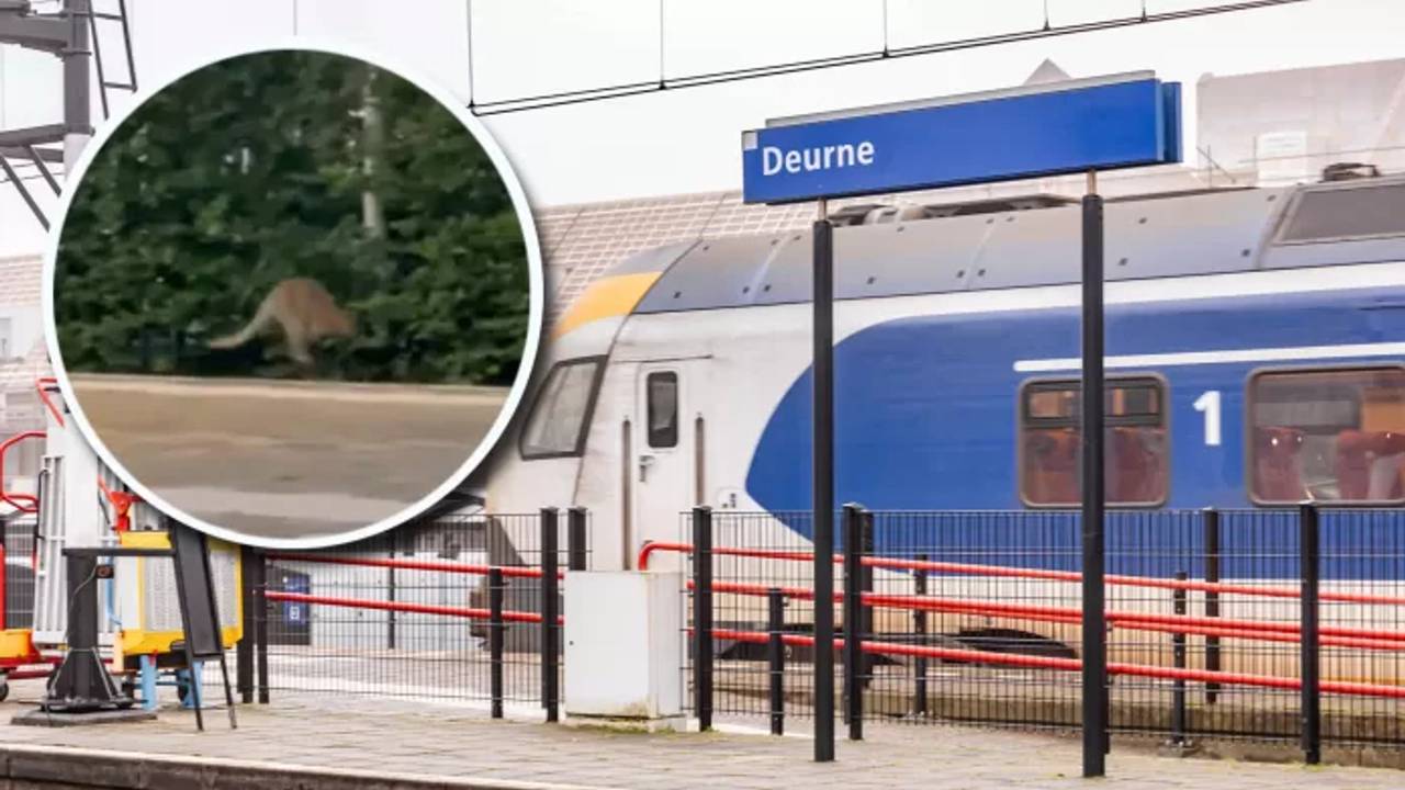 Foto: Deurne Media Groep.