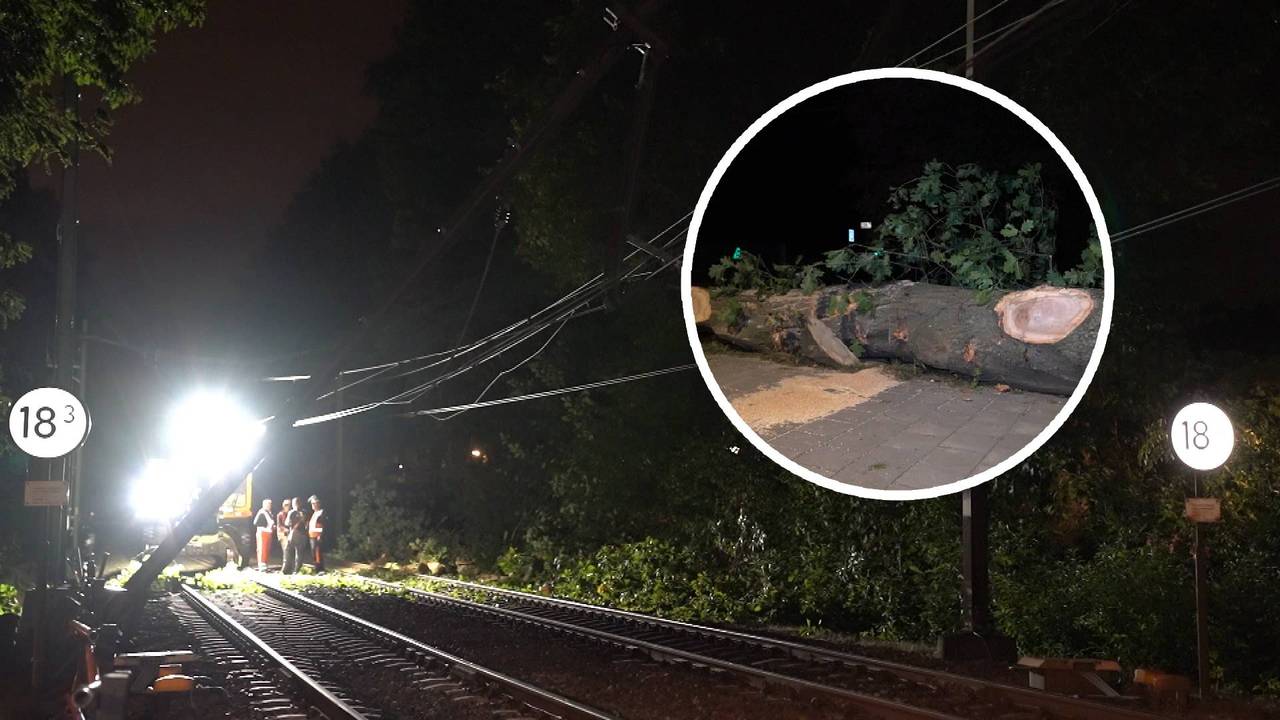 Na hele nacht werken: boom al van spoor geruimd, nog hele dag geen treinen