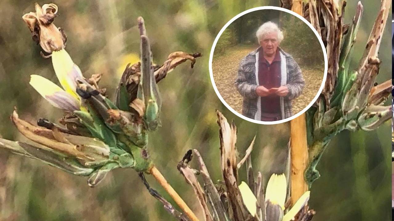 De wilgsla en zijn herondekker (Foto: Rien Ondersteijn.)