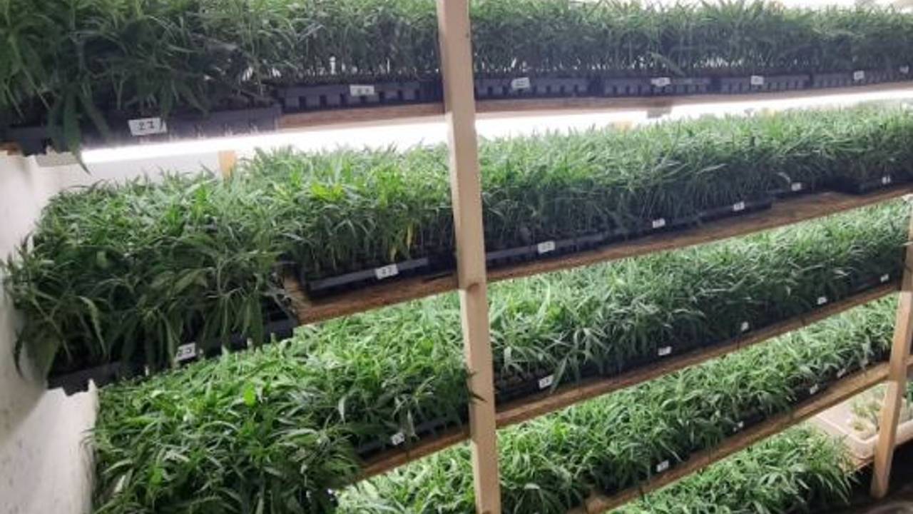 Foto: Instagram politie Markdal.