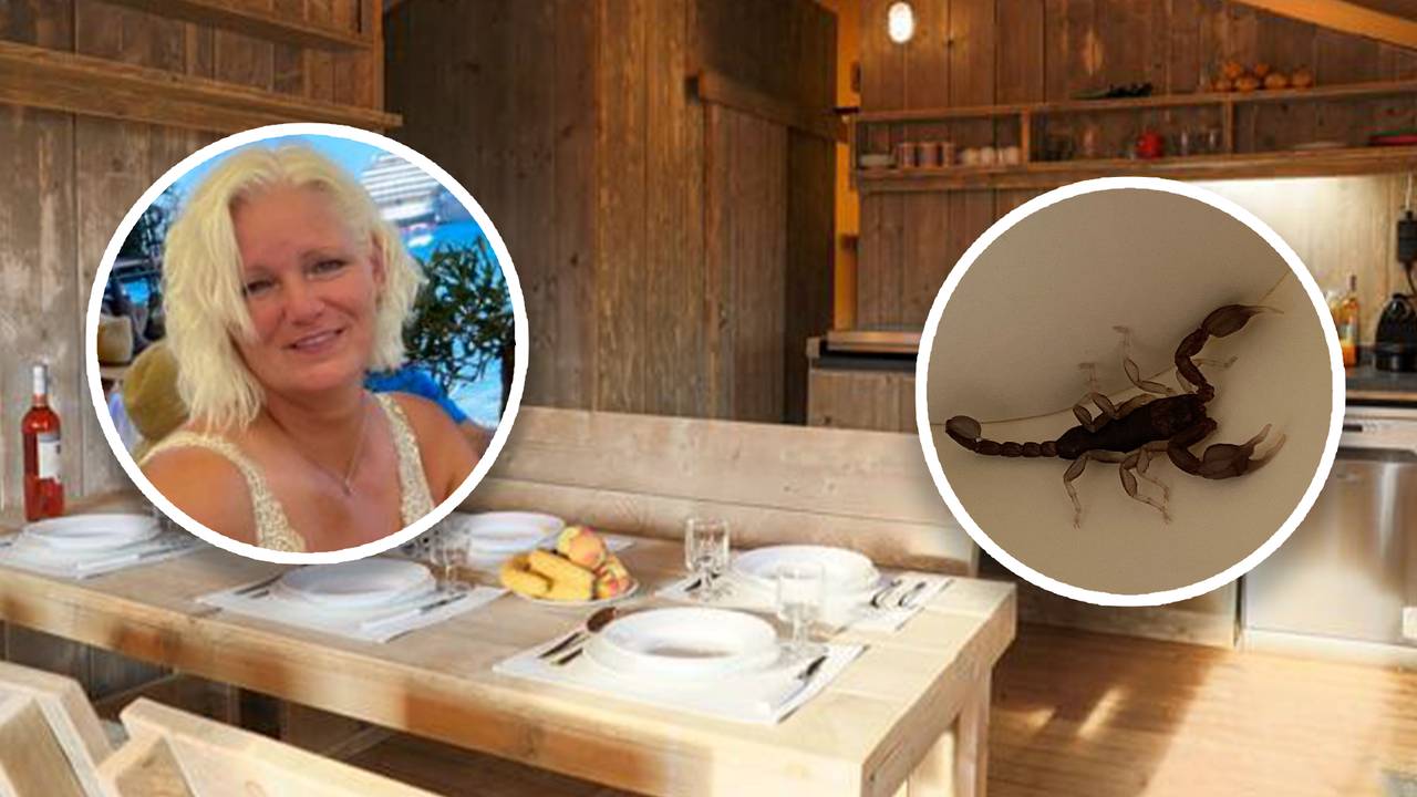 Ilse vond deze schorpioen in het slaapgedeelte van haar tent (foto: Eigen beeld).