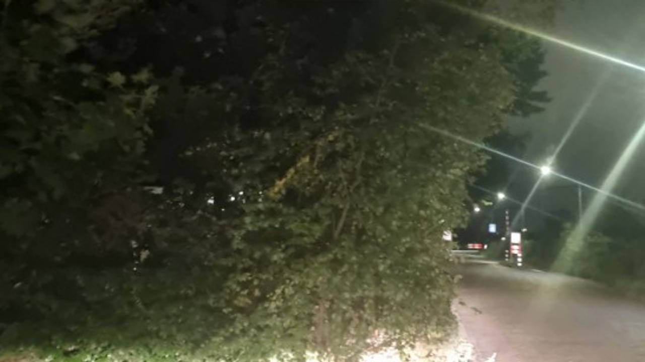 De jongens gooiden stenen naar het fietspad (foto: Instagram politie Groene Beemden).