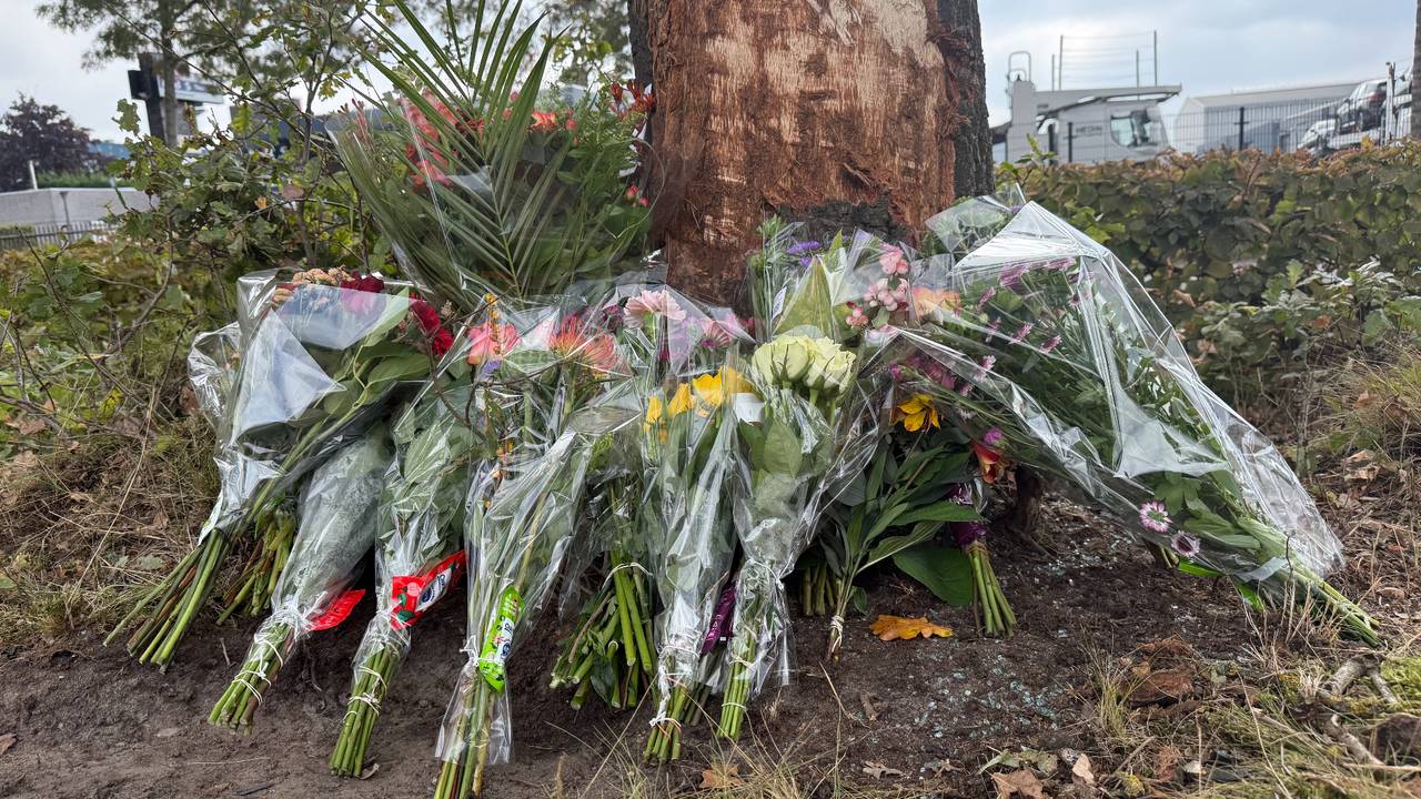 Bloemen bij de boom waar de 17-jarige jongen om het leven kwam (foto: Jos Verkuijlen).