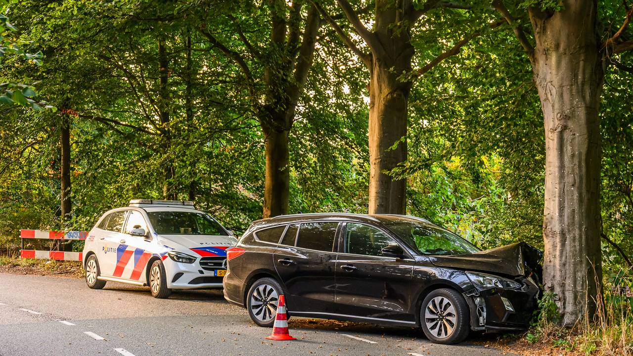 Foto: Persbureau Heitink.