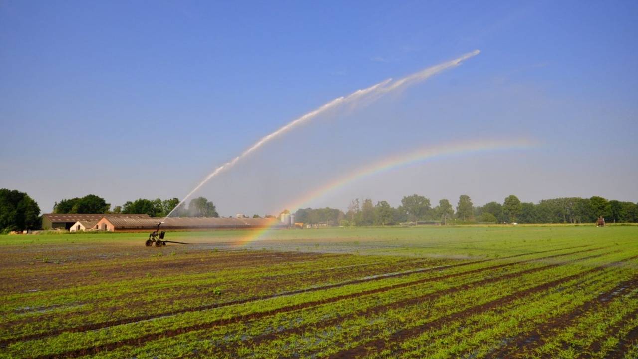 Boeren mogen voorlopig geen water oppompen uit beken (archieffoto: Ben Saanen).