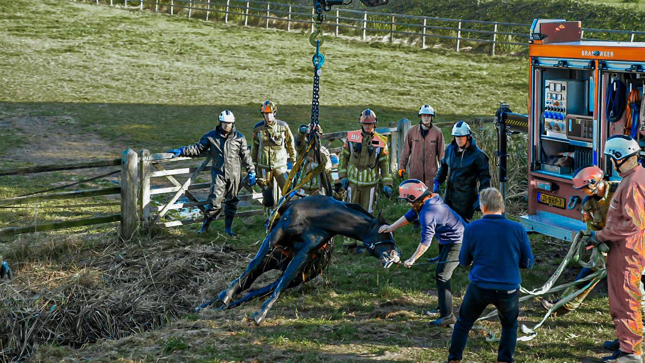 Foto: Erik Haverhals/Persbureau Heitink