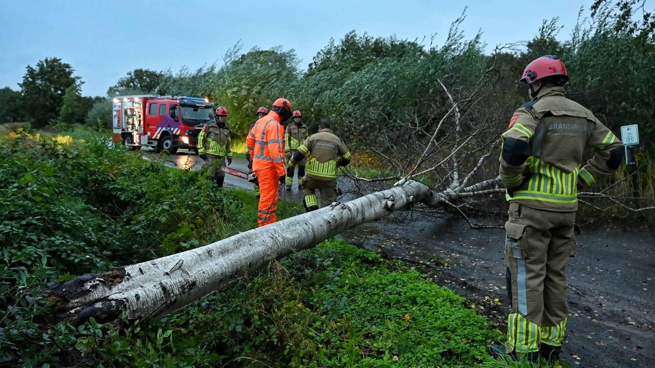 Op de Baksevenweg in Berkel-Enschot belandde een boom op de weg (foto: Toby de Kort/Persbureau Heitink).