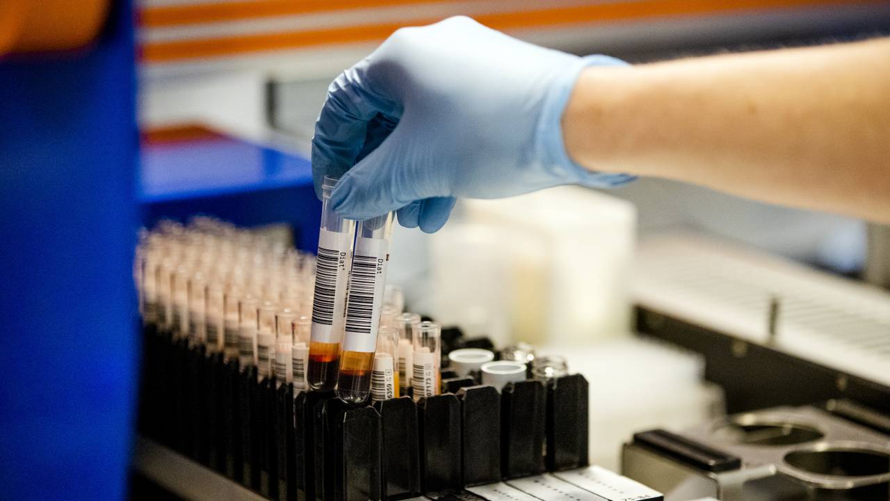 (Foto: Sem van der Wal/ ANP.)