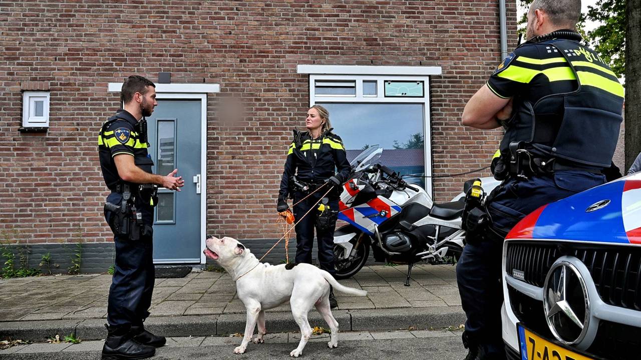 Foto: Persbureau Heitink.