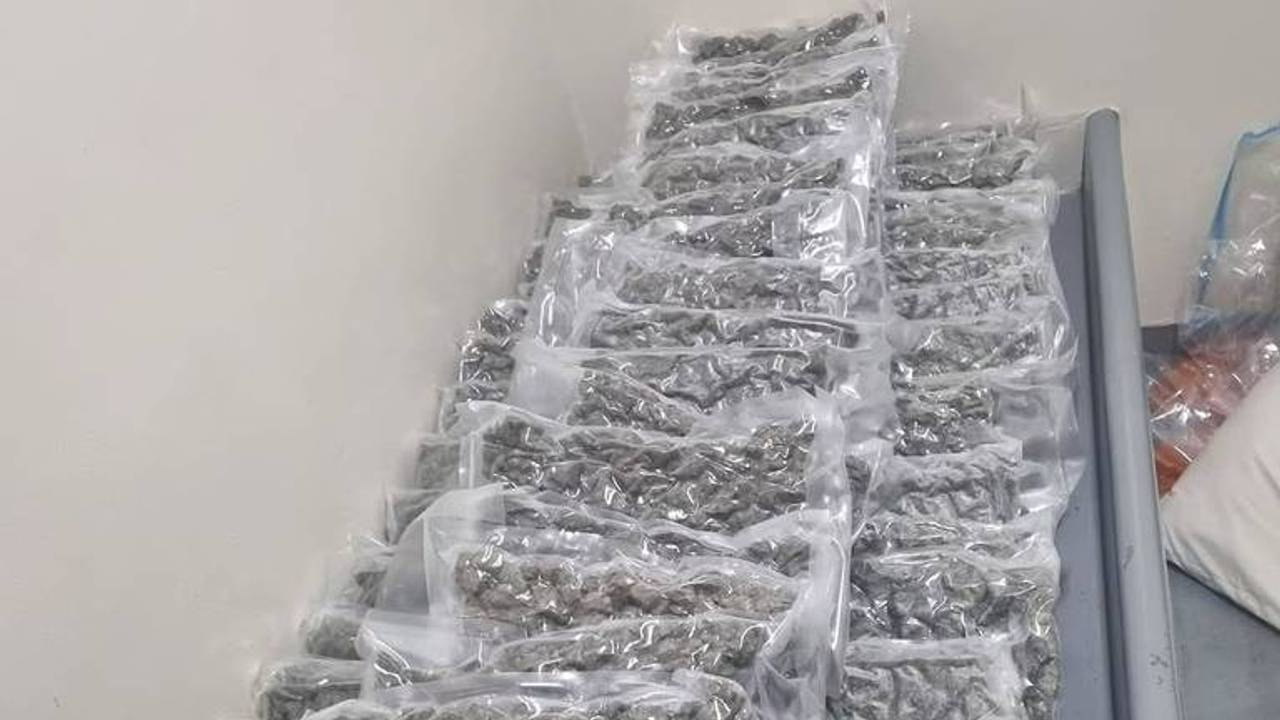 De lading henneptoppen (Foto: politie Best en Oirschot)
