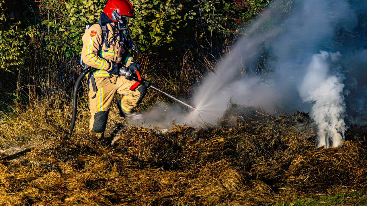 Foto: Harrie Grijseels / Persbureau Heitink