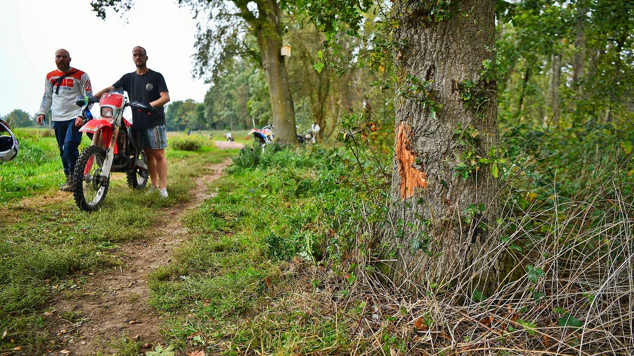 Foto: Rico Vogels / Persbureau Heitink