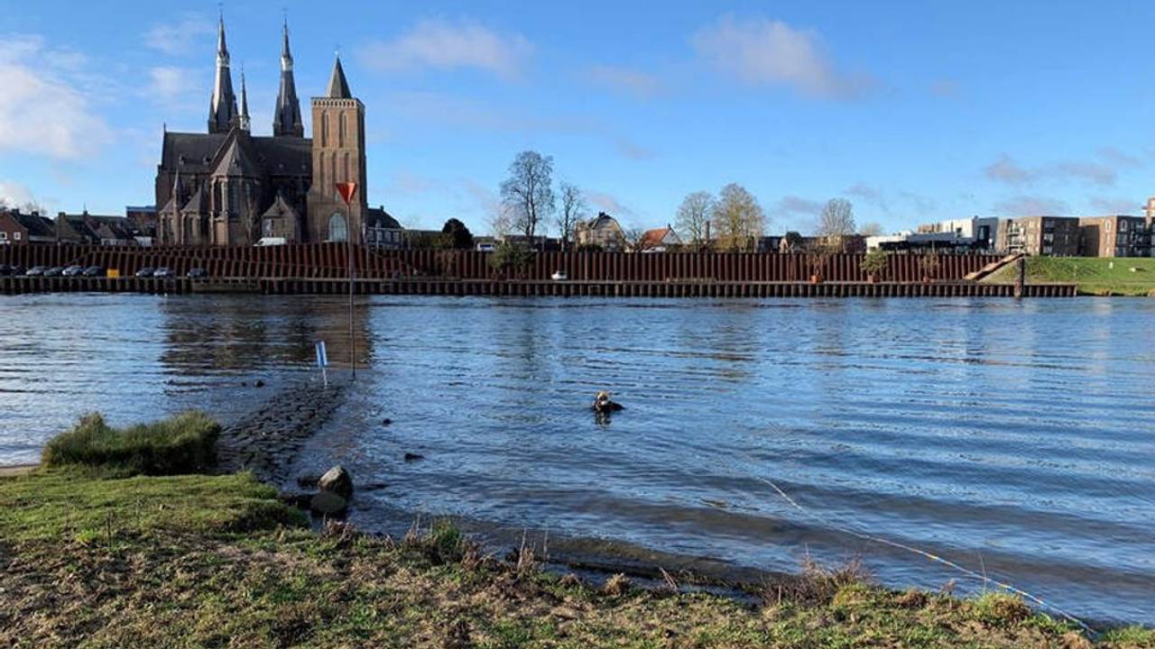 (Foto: Rijksdienst voor Cultureel Erfgoed.)
