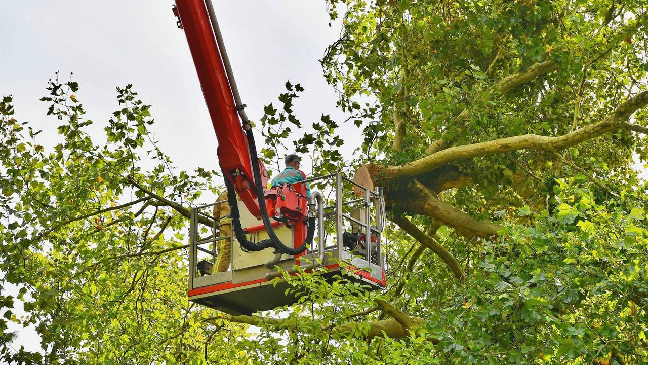 De hulpdiensten zijn aanwezig in Waalre (foto: Rico Vogels/Persbureau Heitink).