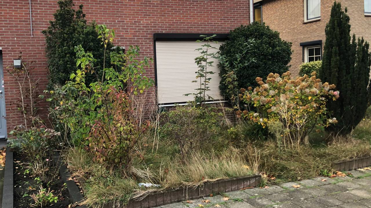 De volle voortuin in Zegge (foto: Willem-Jan Joachems).