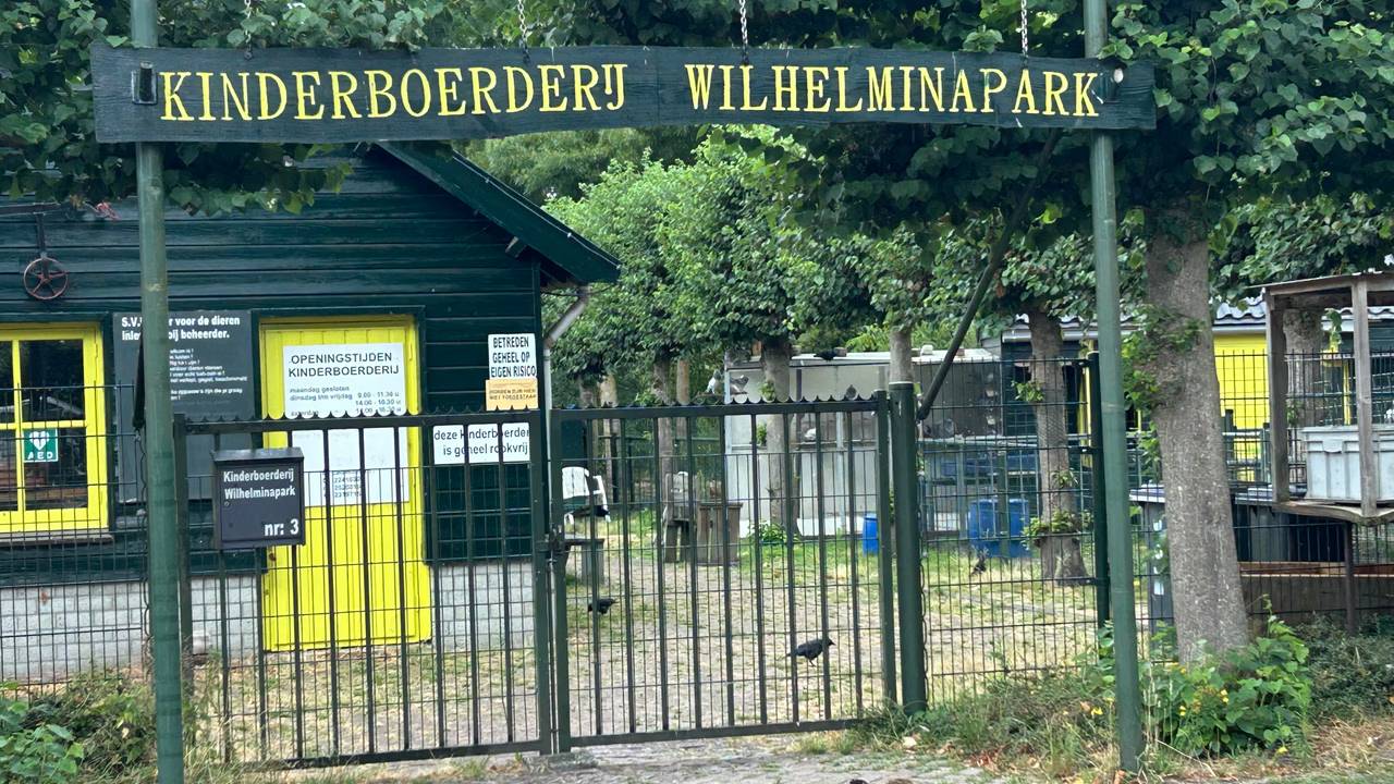 kinderboerderij Wilhelminapark (foto: Studio040)