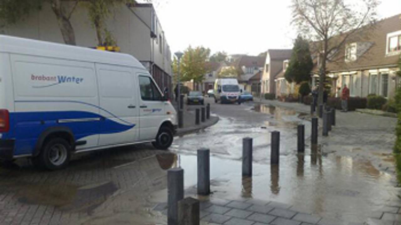Foto: Alice van der Plas