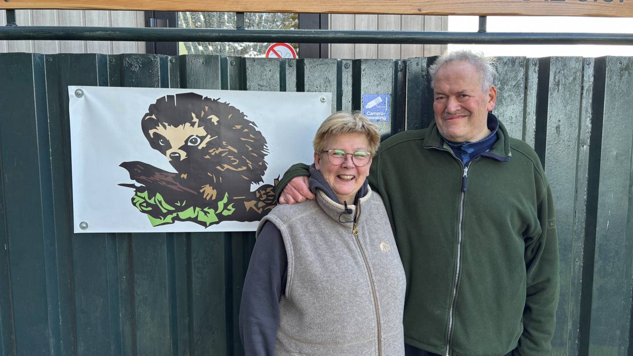 Dré en Conny Scheeres, eigenaren van Egelopvang Roosendaal (foto: Thijs den Ouden).