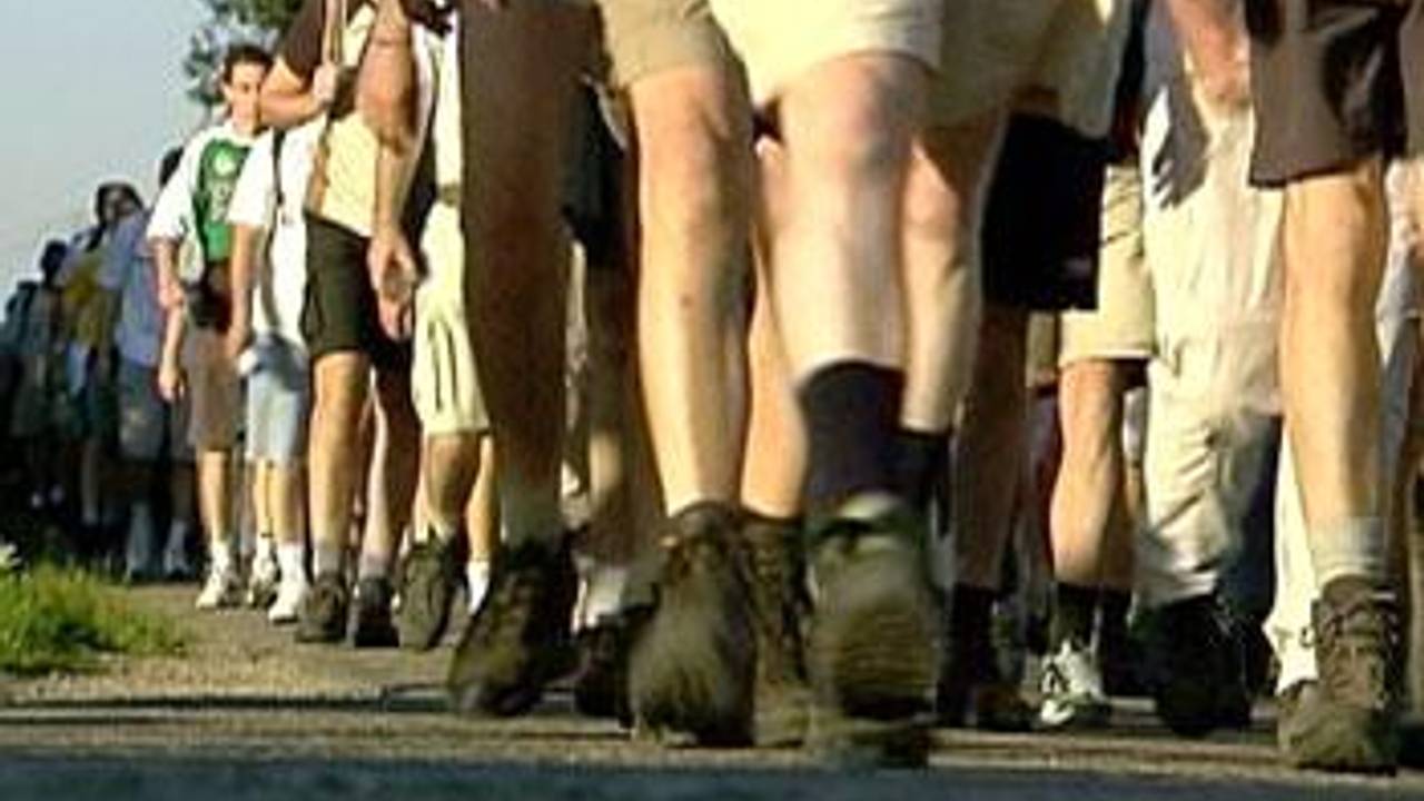 Ongeveer negenduizend Brabanders deden dit jaar mee aan de Vierdaagse in Nijmegen.