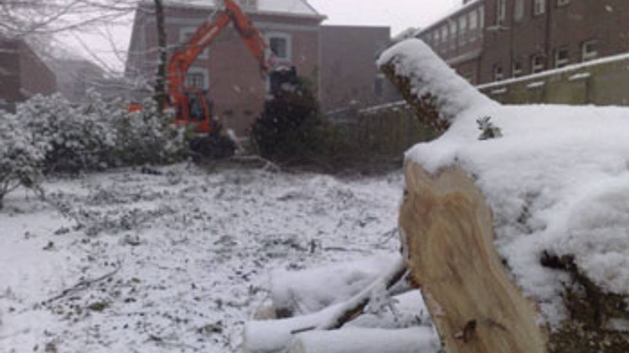 Foto: Bart Oosterveld