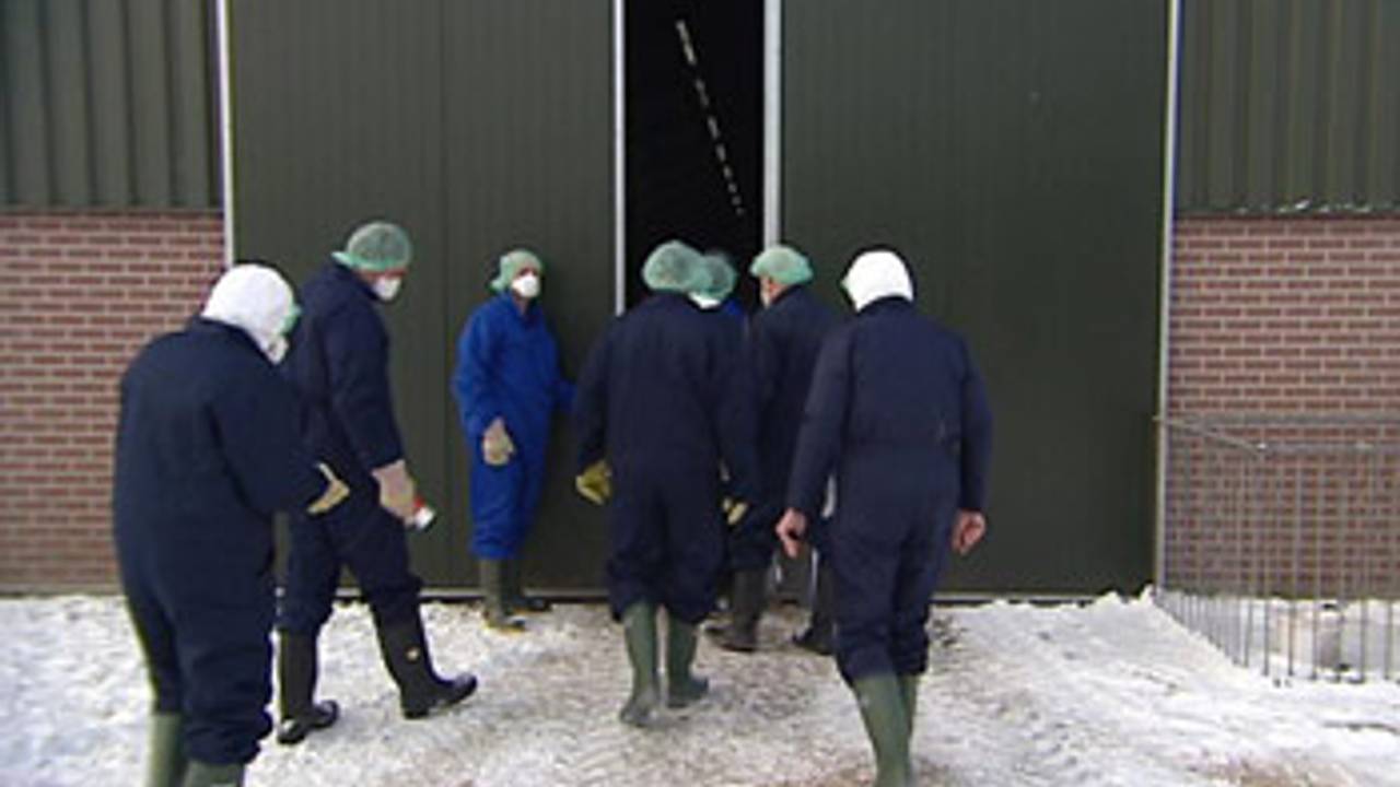 De geitenboerderij van Henk van Loon uit Vinkel