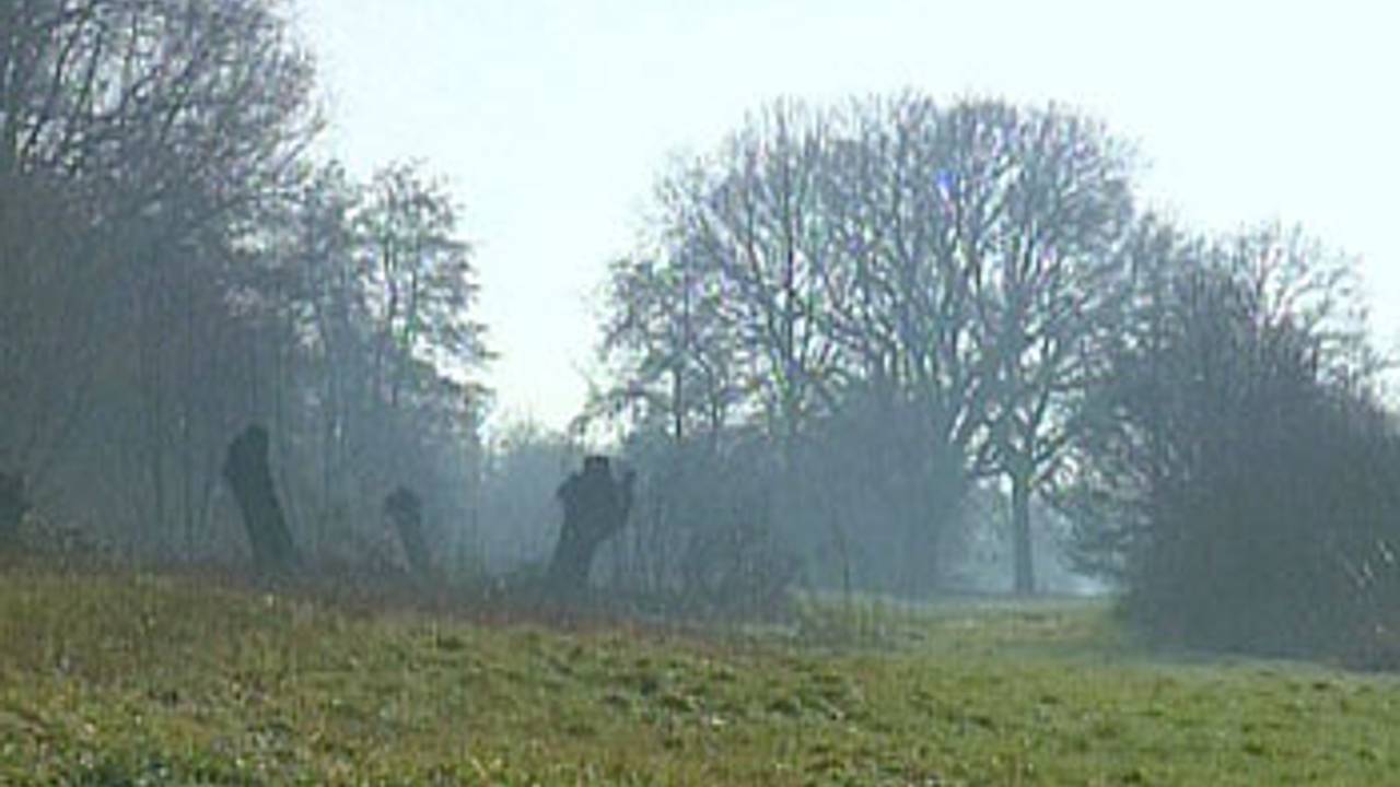 Twee Brabanders in de race voor titel "Groenste Politicus"