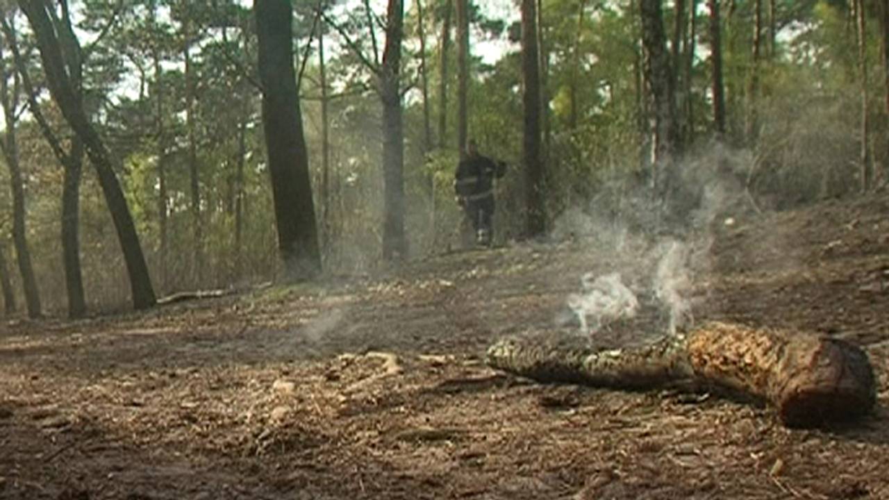 Smeulende resten van bosbrand in Bergen op Zoom