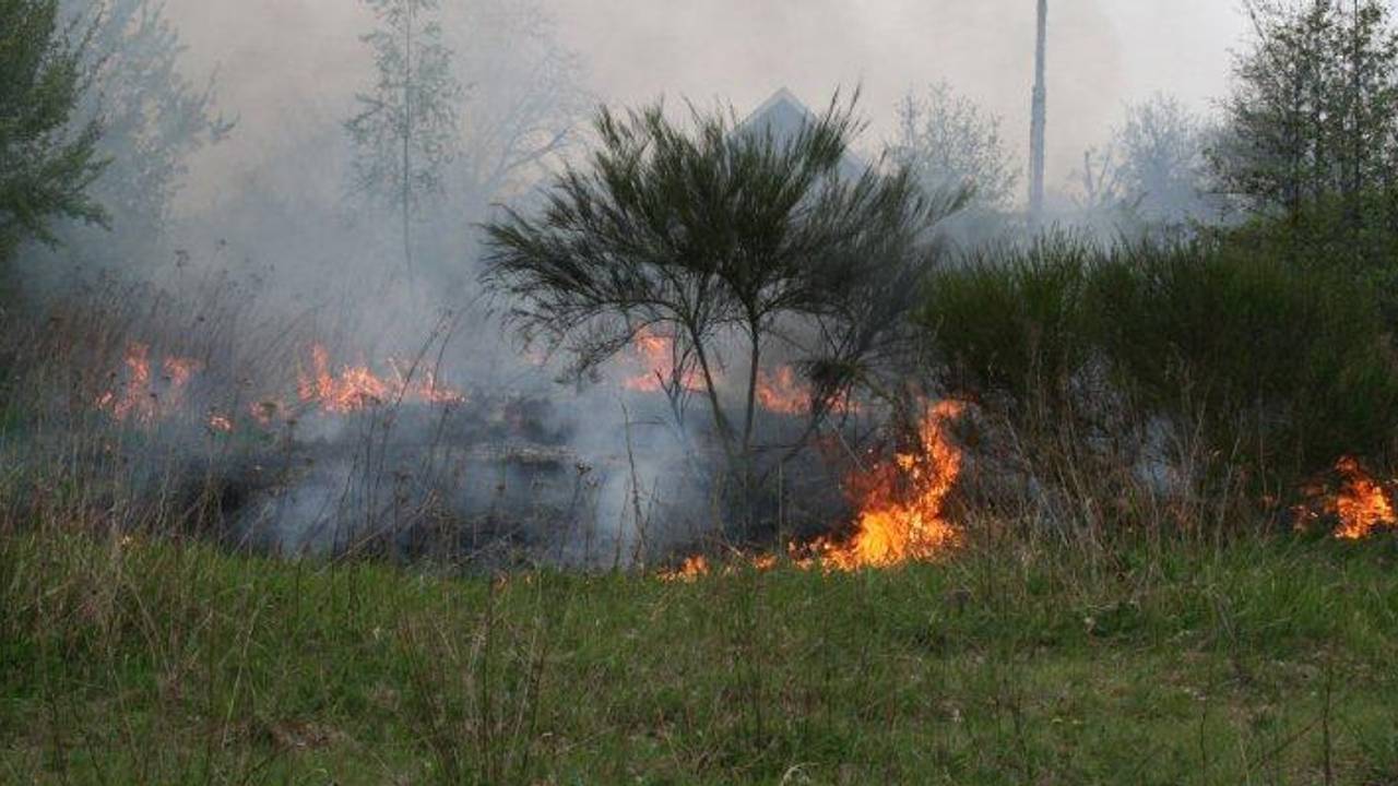 Foto: 112brabantnieuws.nl