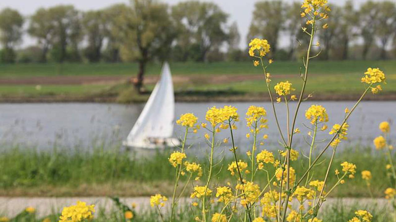 Foto: Lida Verkade