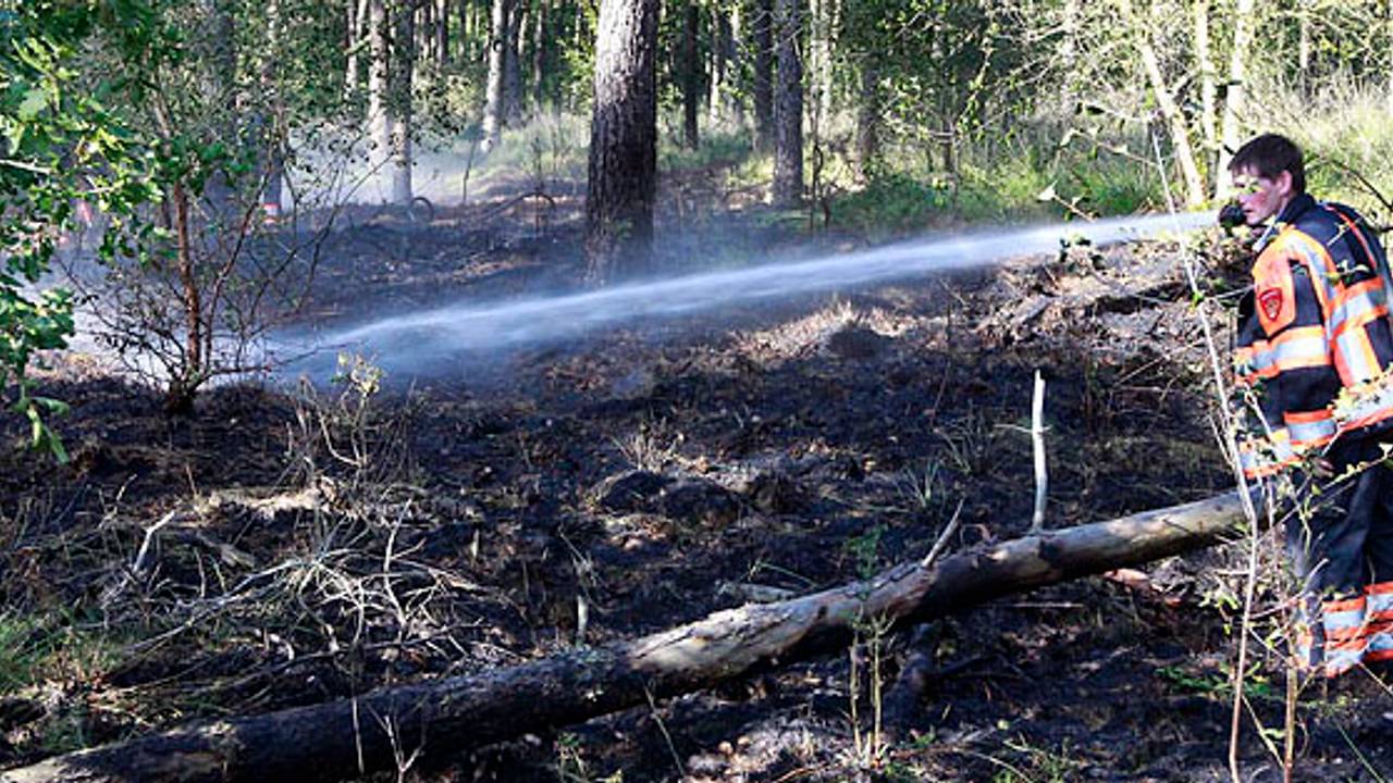 Foto: SQ Vision Mediaprodukties.