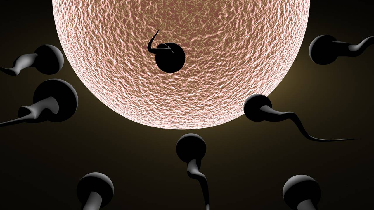 Afbeelding: sxc.hu/ clix