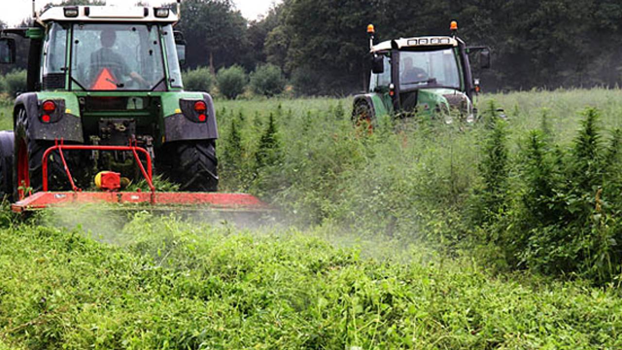 Foto: Gabor Heeres/SQ Vision Mediaprodukties