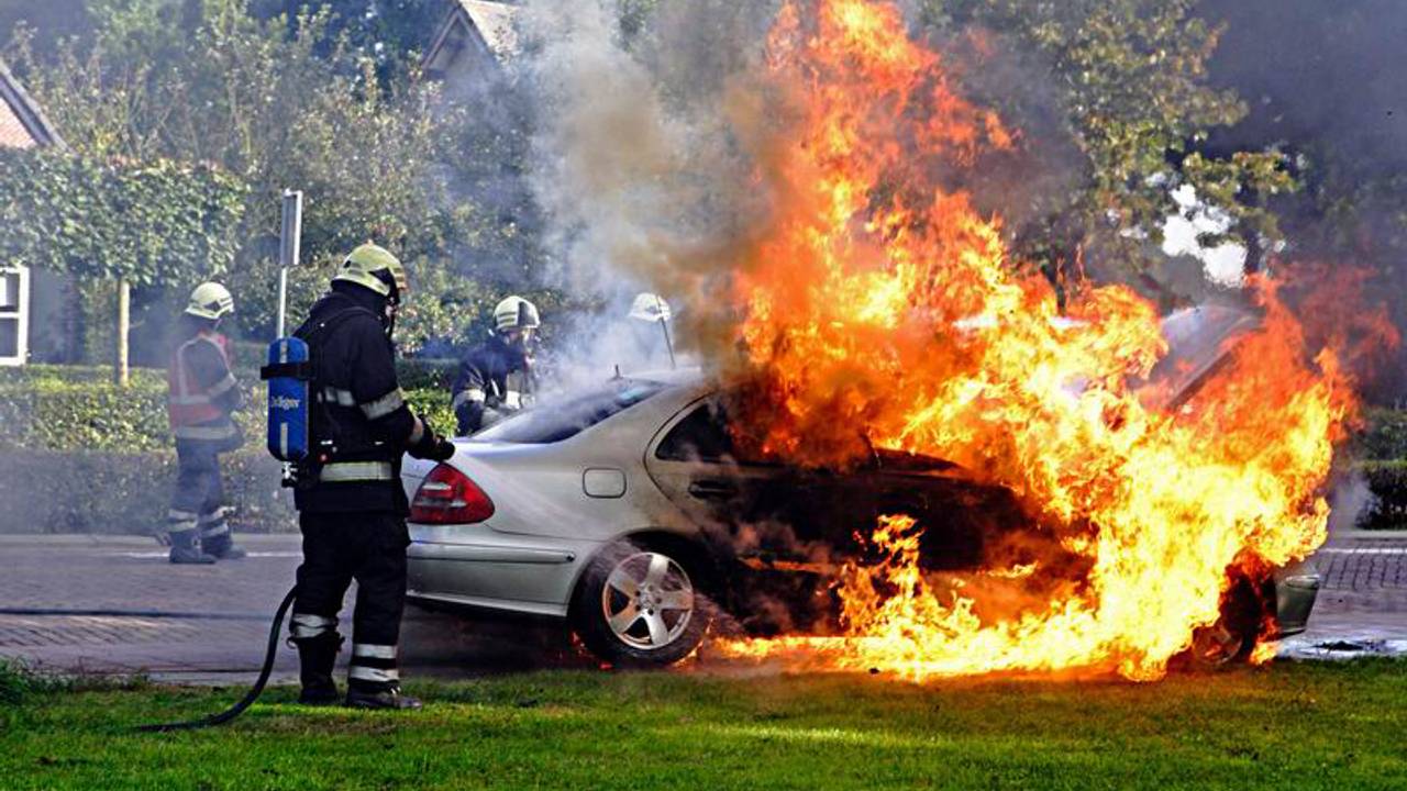 (Foto: Iwan van Dun-Reality Photo)