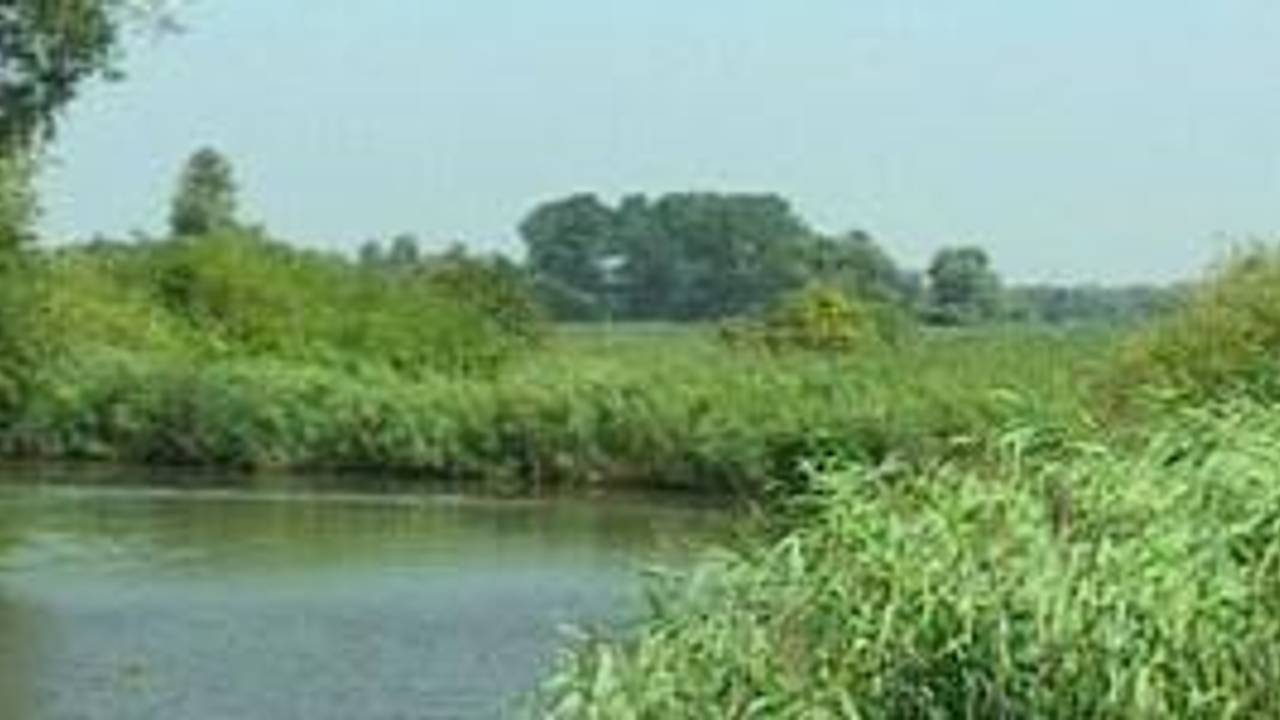De Biesbosch