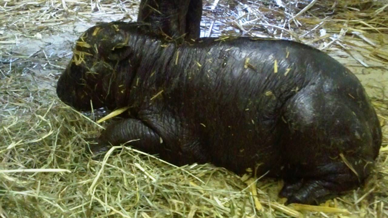 Foto's: Zoo Parc Overloon