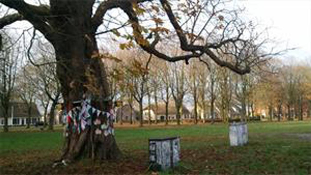 De kastanjeboom in Den Hout