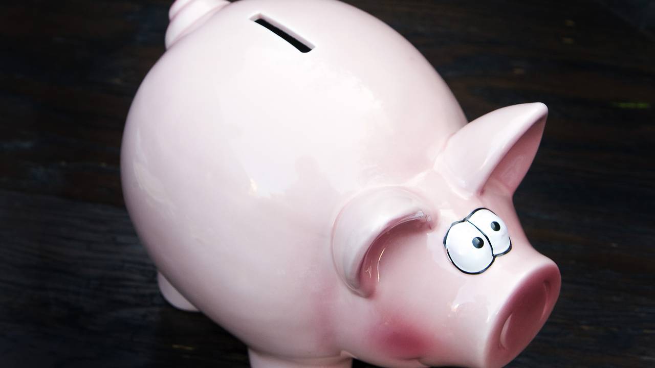 Brabants spaarvarken vorig jaar het best gevuld van heel Nederland.