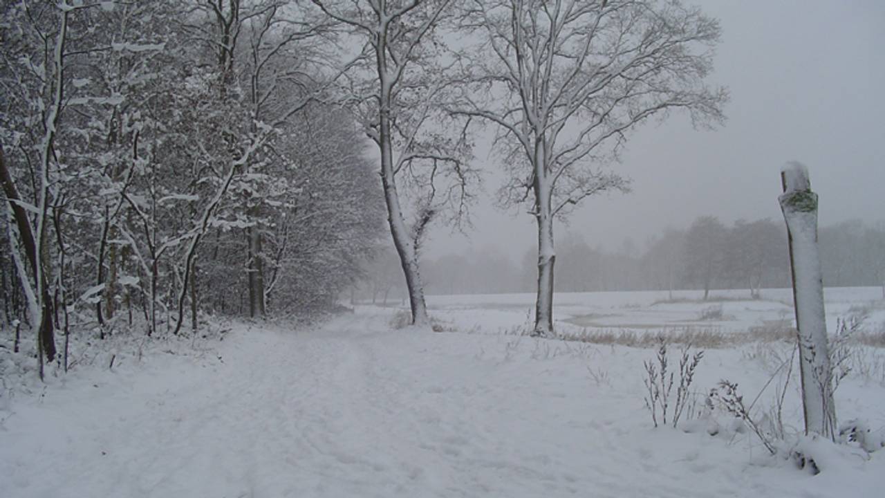 Foto: Ad Schouteren/Halsteren