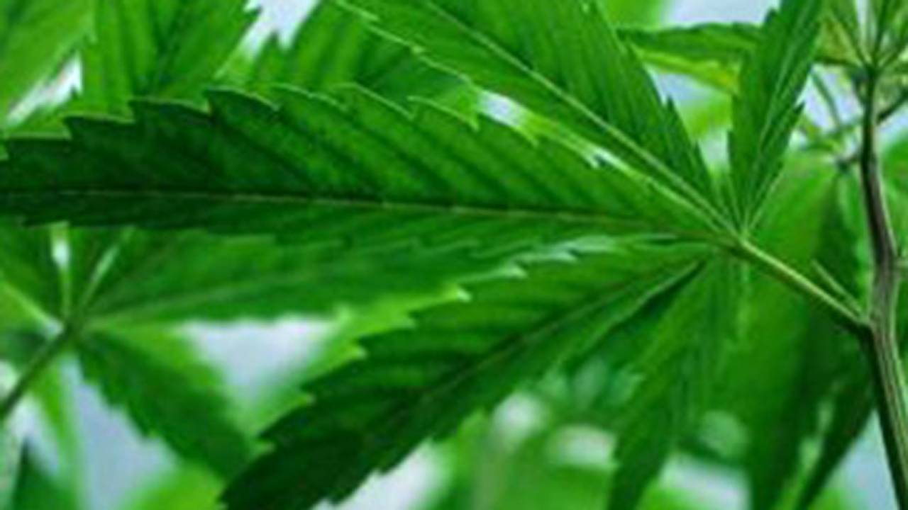 Twee mensen zijn aangehouden.