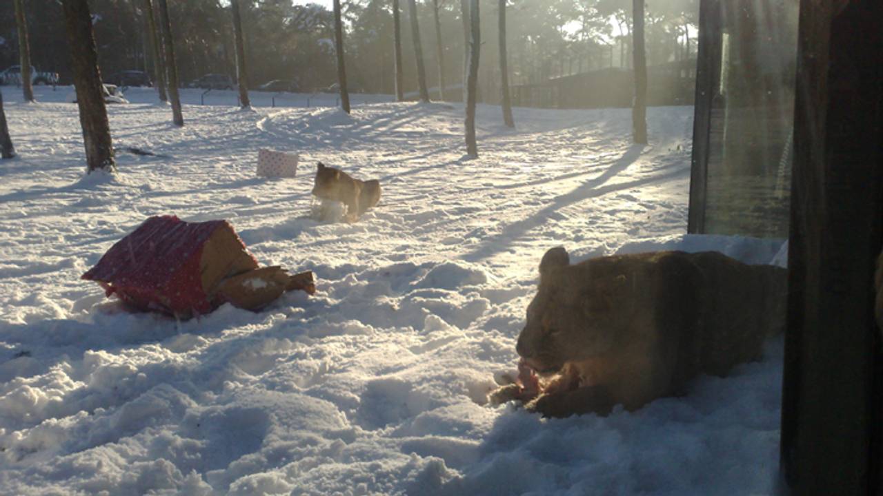 Foto: Bianca van Vugt