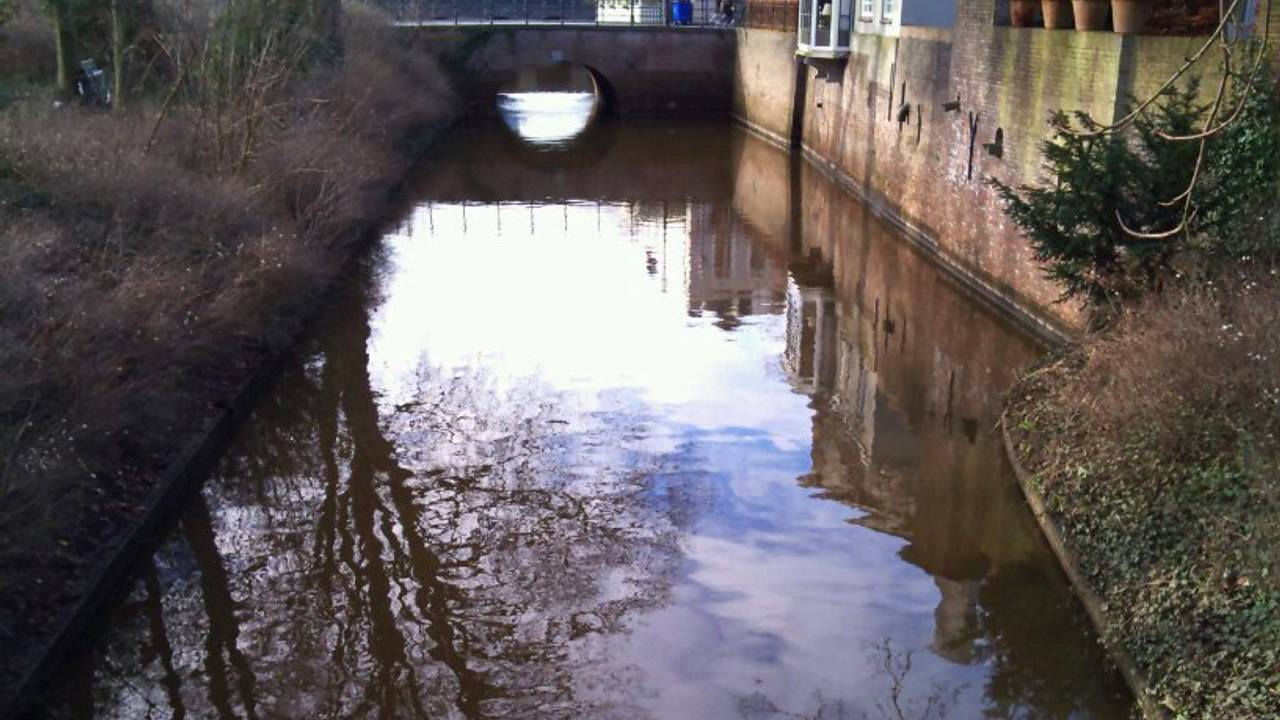 Den Bosch met haar Binnendieze