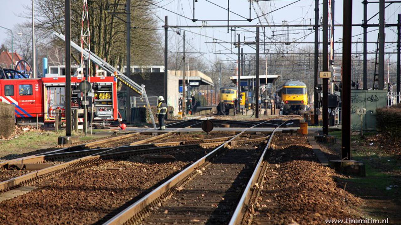 Foto: Frennie Timmermans