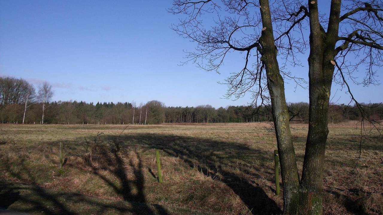 De heide moet weer ruim baan krijgen