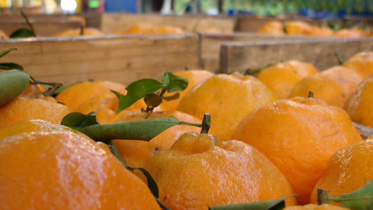 Levensmiddelen bij de Voedselbank (Bron: stock.xchng)