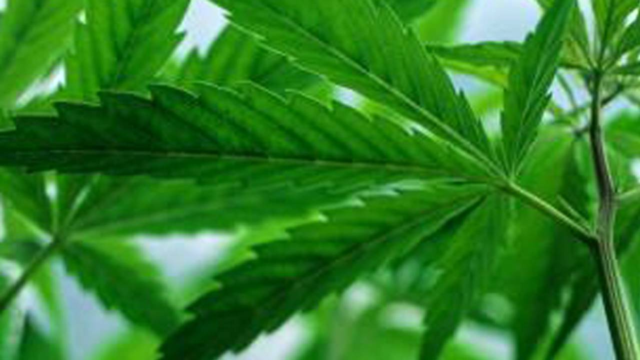 Eén man is aangehouden.