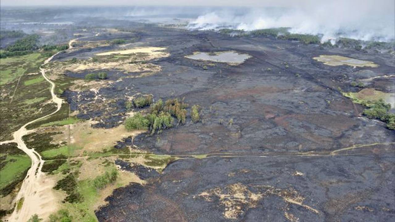 De brand legde 600 hectare in de as.