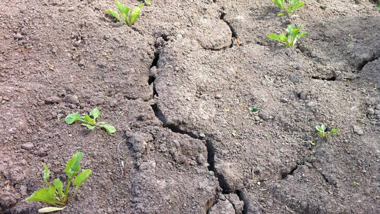 Start burgerinitiatief tegen verdroging Brabantse Wal.