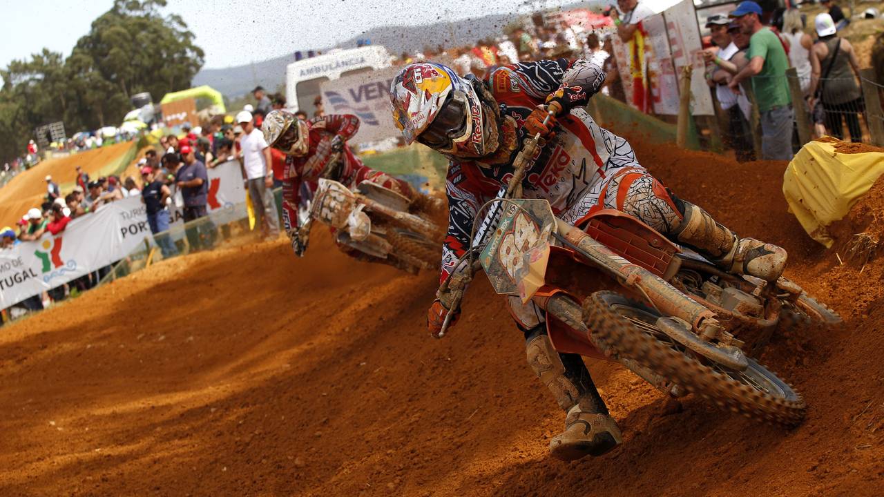 Herlings op dreef in Portugal. (Foto: R. Archer)