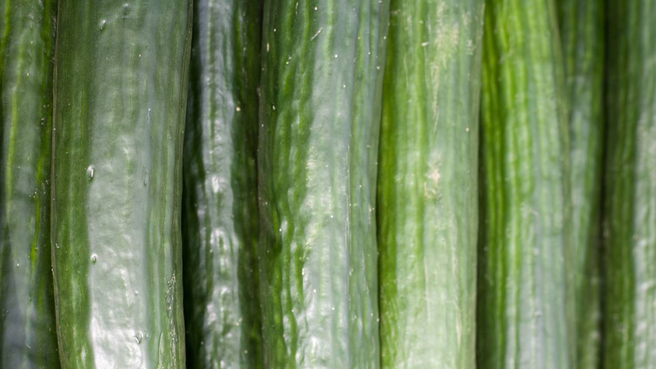 Komkommers zouden de boosdoeners zijn. (Foto: sxc.hu)