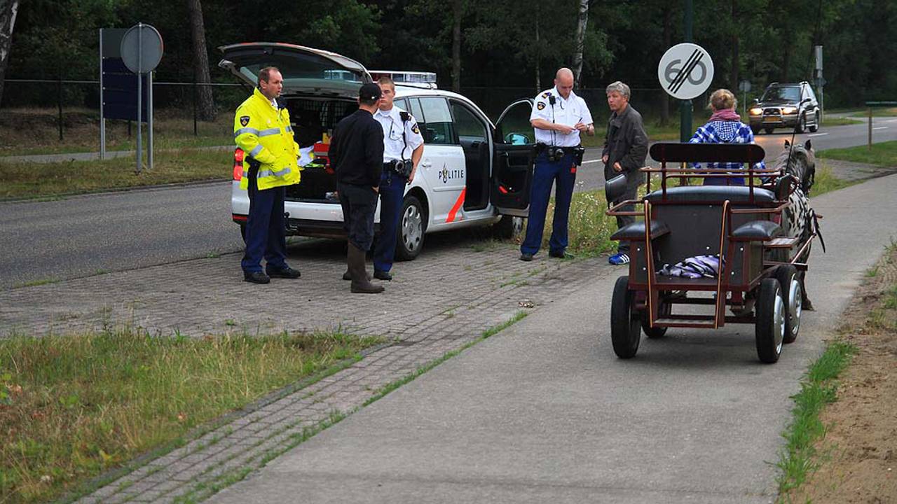 De pony raakte niet gewond (Foto: Gabor Heeres - SQ Vision)
